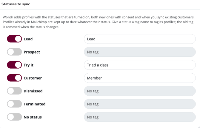Statuses to sync, with selected statuses turned on and a tag name entered for one status.