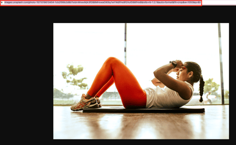 Browser window displaying an image, with the image URL highlighted in the address bar at the top.