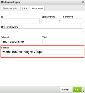 Image properties dialog with the style field highlighted, showing custom width and height values set for the image.