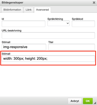 Image properties dialog with the style field highlighted, showing smaller custom width and height values set for the image.