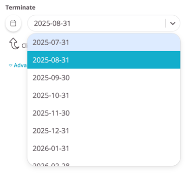 Dropdown list with selectable termination dates.